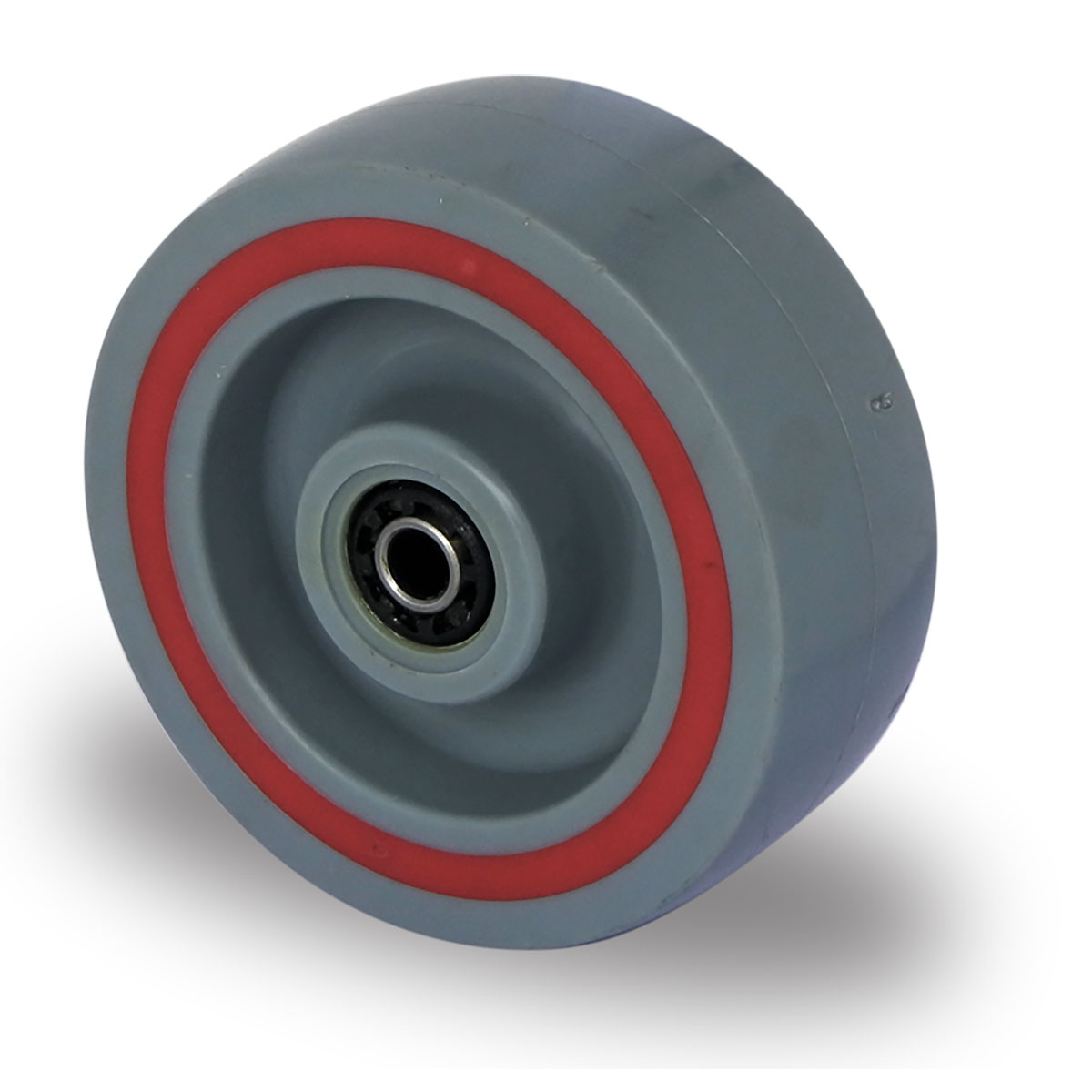 wheel d 100 mm series T6P2 roller bearing